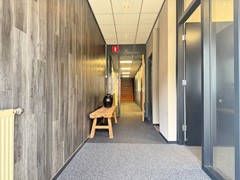 IMG_1098.jpg