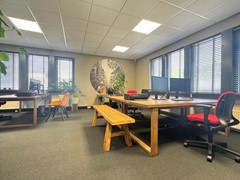 IMG_1099.jpg