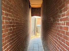 IMG_1482.jpg