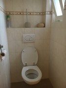 IMG_3172.jpg
