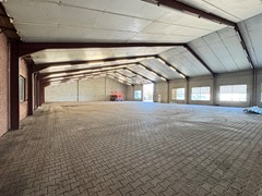 IMG_3101.jpeg