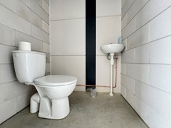 IMG_4101.jpeg