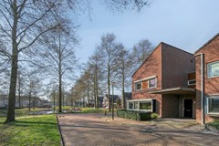 Haagwinde145531KGBladel-04.jpg