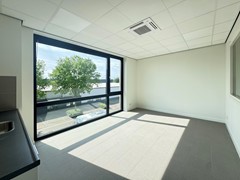 IMG_4178.jpg
