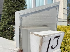 IMG_1211.jpeg