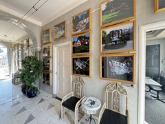 IMG_1219.jpeg