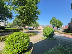 IMG_3910.jpeg