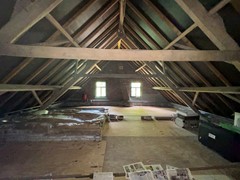 IMG_4342.jpeg
