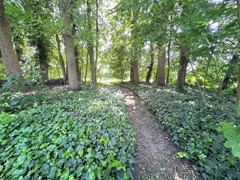 IMG_4374.jpeg