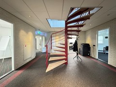IMG_5217.jpeg