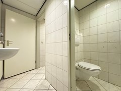 IMG_5341.jpeg