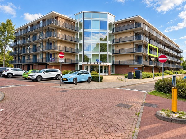 free-sector-houses for rent on Vesting 40