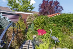 EstherdeBoervanRijkstraat192331HHLeiden-29.jpg