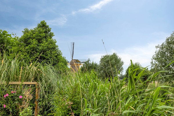 Medium property photo - Annie van Hattemstraat 23, 2331 MP Leiden