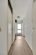 BeppyNooijstraat402331HVLeidenNL-05.jpg