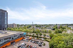 VijfMeilaan1582321RPLeidenNL-22.jpg