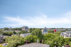 VijfMeilaan1582321RPLeidenNL-23.jpg