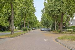 Rijndijk1422331AJLeiden-68.jpg