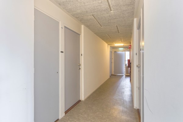 Medium property photo - Haagplein 48, 2311 AD Leiden