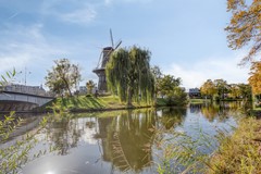 Rijnsburgersingel522312NCLeidenNL-43.jpg