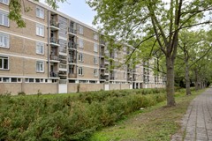 Bachstraat5202324HBLeidenNL-05.jpg