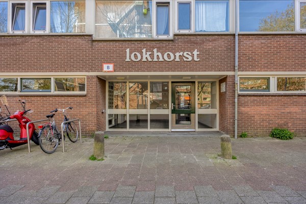 Lokhorst1512352KELeiderdorpNL-06.jpg
