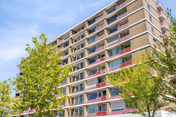 Bachstraat1562324GPLeidenNL-02.jpg