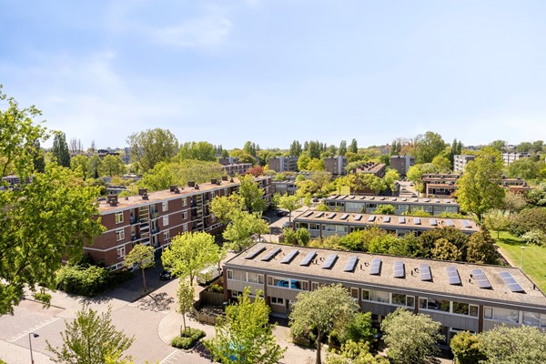 Bachstraat1562324GPLeidenNL-36.jpg