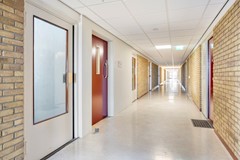 Bachstraat1562324GPLeidenNL-14.jpg