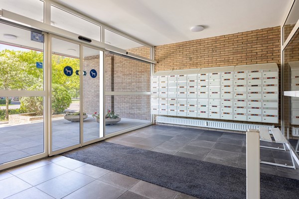 Bachstraat1562324GPLeidenNL-12.jpg