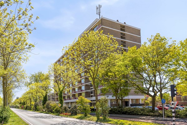 Bachstraat1562324GPLeidenNL-07.jpg