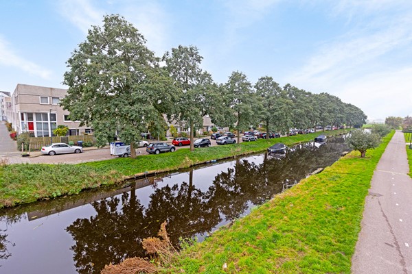 HarrietFreezersingel8Leiden07.jpg
