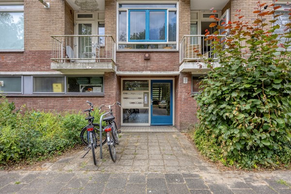Brahmslaan472324ACLeiden-04.jpg