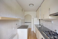 Brahmslaan472324ACLeiden-15.jpg