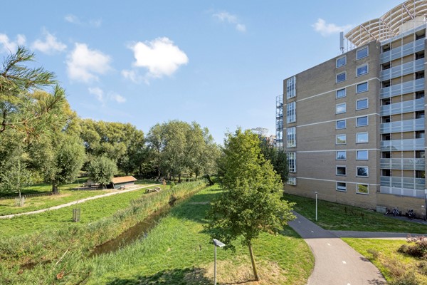 MaartjeOfferspad162331NBLeidenNL-32.jpg
