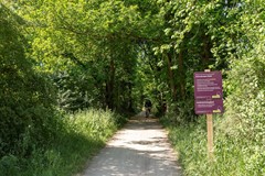 563_1440.jpg