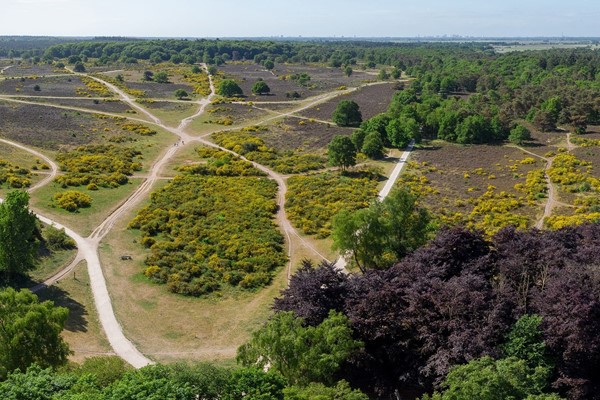 Medium property photo - Kolhornseweg, 1213 RR Hilversum