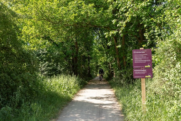 Medium property photo - Kolhornseweg, 1213 RR Hilversum