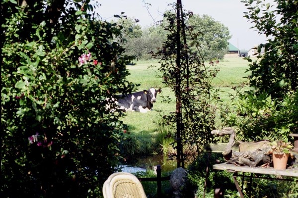 Medium property photo - Amstelkade, 3648 KA Wilnis