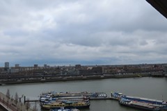 IMG_3150.JPG