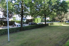 IMG_3416.JPG