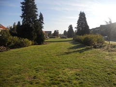 dscn7676