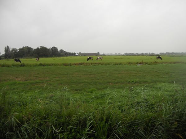 Medium property photo - Amstelkade, 3648 KA Wilnis