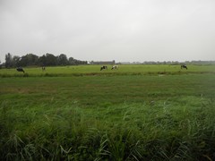 Nieuw in verhuur: Amstelkade, 3648 KA Wilnis