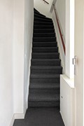 IMG_4784.jpeg