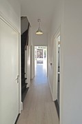 IMG_4316.jpeg