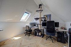 36_MILLINGEN_AAN_DE_RIJN_6566_KE_Veulenskampje_9.jpg