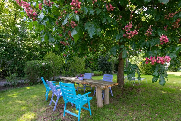 Medium property photo - Hamelbergstraat 4, 6611 KM Overasselt
