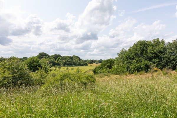Medium property photo - Ringbaan 76, 6584 BC Molenhoek
