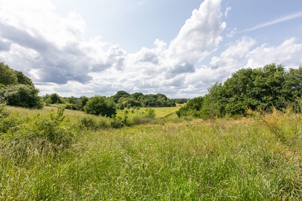 Medium property photo - Ringbaan 76, 6584 BC Molenhoek